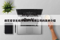 麻花星空无线传媒制作有限公司的简单介绍